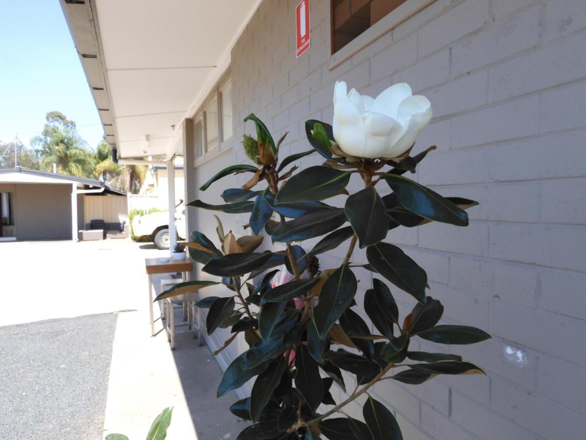 Dalby Parkview Motel エクステリア 写真